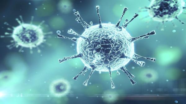شناسایی 50 مورد تازه مبتلا به کرونا ویروس در ایلام