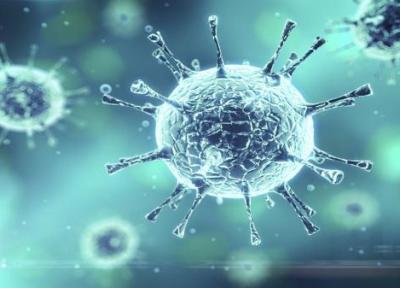 شناسایی 50 مورد تازه مبتلا به کرونا ویروس در ایلام