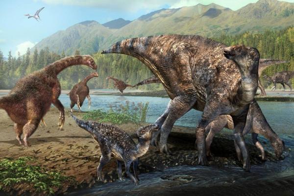 کشف فسیل یک دایناسور نادر در کانادا