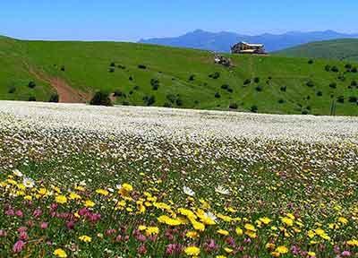 راهنمای سفر به اردبیل