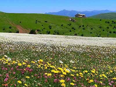 راهنمای سفر به اردبیل