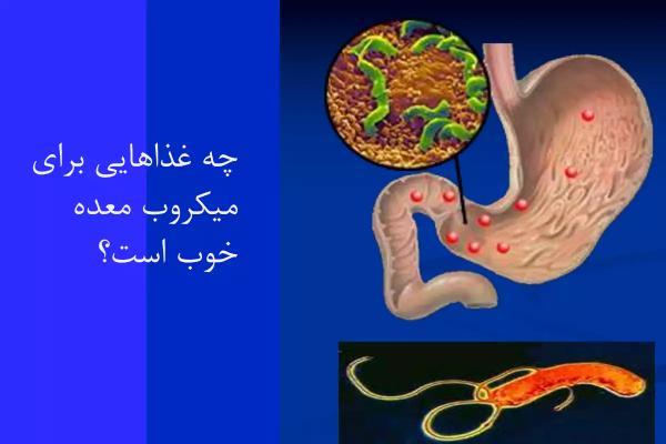 چه غذاهایی برای میکروب معده خوب است؟